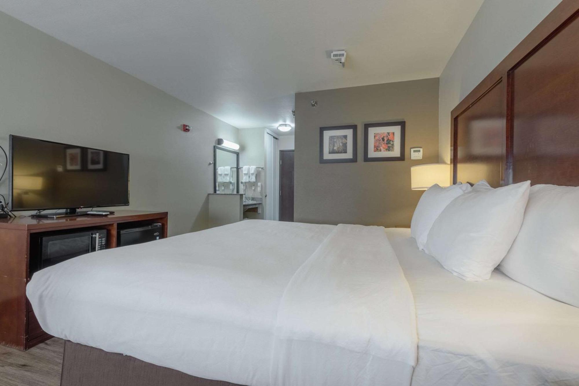 Comfort Inn & Suites Alamosa Εξωτερικό φωτογραφία